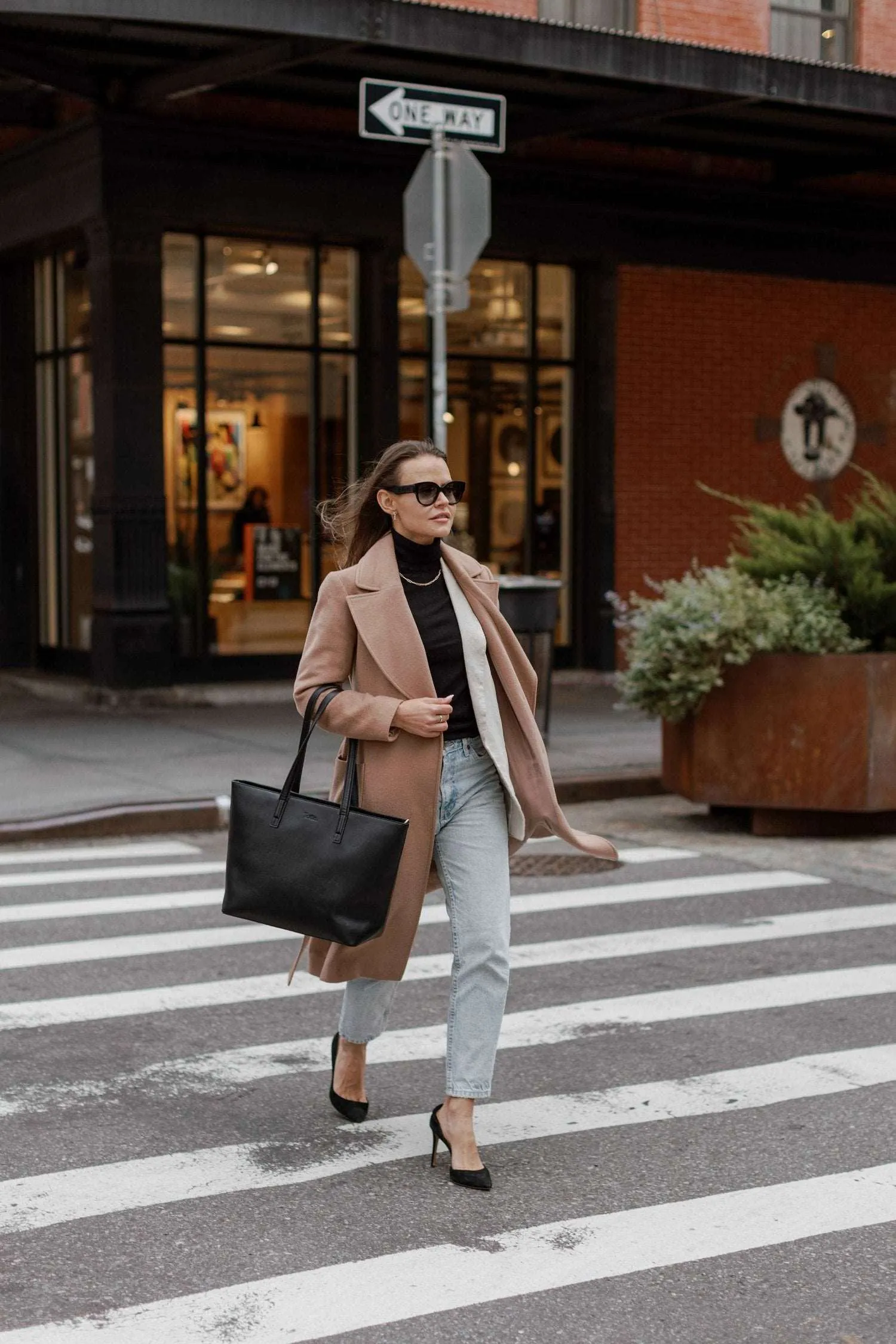 [WS] The Tote Bag in Tan